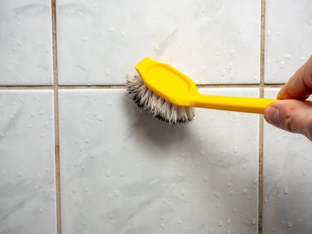Best Toxic Mold Removal  in Madison Lake, MN