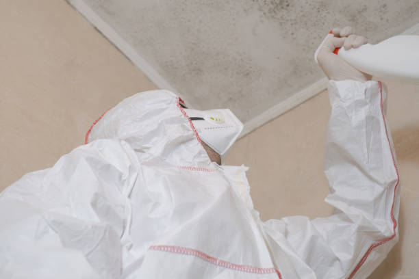 Best Crawl Space Mold Removal  in Madison Lake, MN