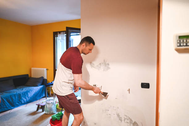 Best Emergency Mold Removal  in Madison Lake, MN